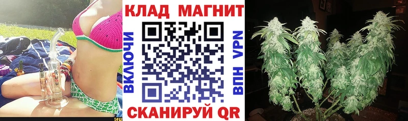 Купить закладку Киселёвск Канабис Галлюциногенные грибы МЕФ Альфа ПВП
