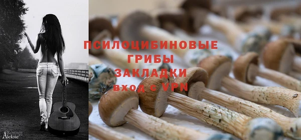 соль ск Алзамай