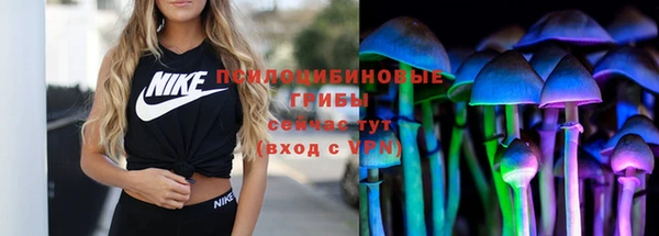 spice Алексин