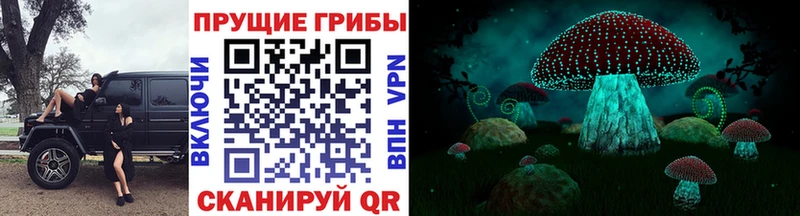 Псилоцибиновые грибы GOLDEN TEACHER  как найти   Киселёвск 